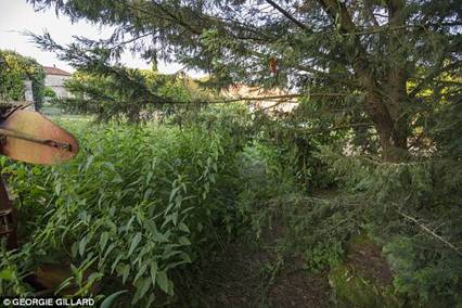 Hidden: The spot where the gunman lay in wait for British farmer David Daniels in Edon